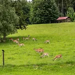 Urlaub Auf Dem Hirschhof Stehle Waldburg