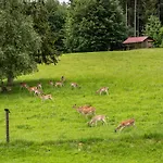Urlaub Auf Dem Hirschhof Stehle