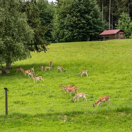Urlaub Auf Dem Hirschhof Stehle Waldburg