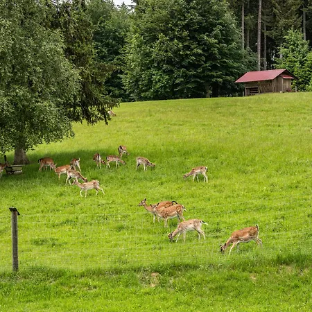Urlaub Auf Dem Hirschhof Stehle